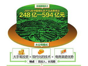 互聯(lián)網(wǎng)養(yǎng)豬新觀(guān)察 技術(shù)賦能下的產(chǎn)業(yè)動(dòng)態(tài)與市場(chǎng)格局