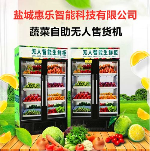 惠樂(lè)鮮智能柜 鹽城惠樂(lè)智能科技，開(kāi)啟日用百貨銷(xiāo)售新篇章